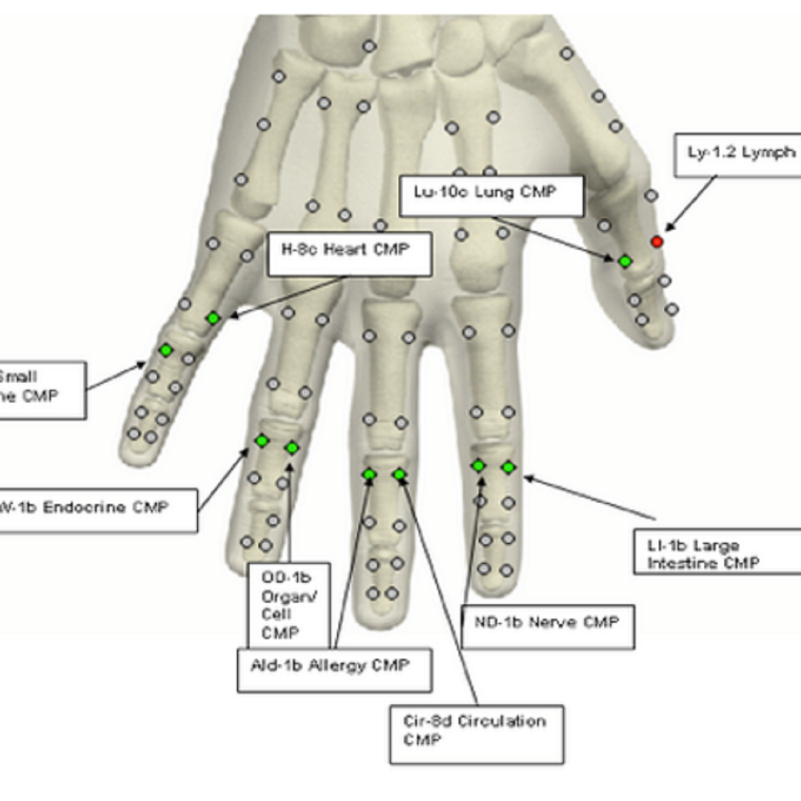 Сань хуань. Точки тонга. Доктор бинь иглоукалывание. Юн ли акупунктура мастера тонга. Точки фолля на руках.