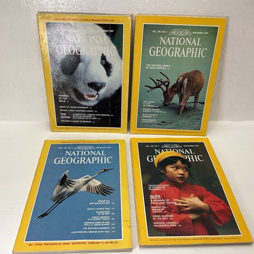 Lot 4 Vintage National Geographic 1981 (See Description For Months & Special)
