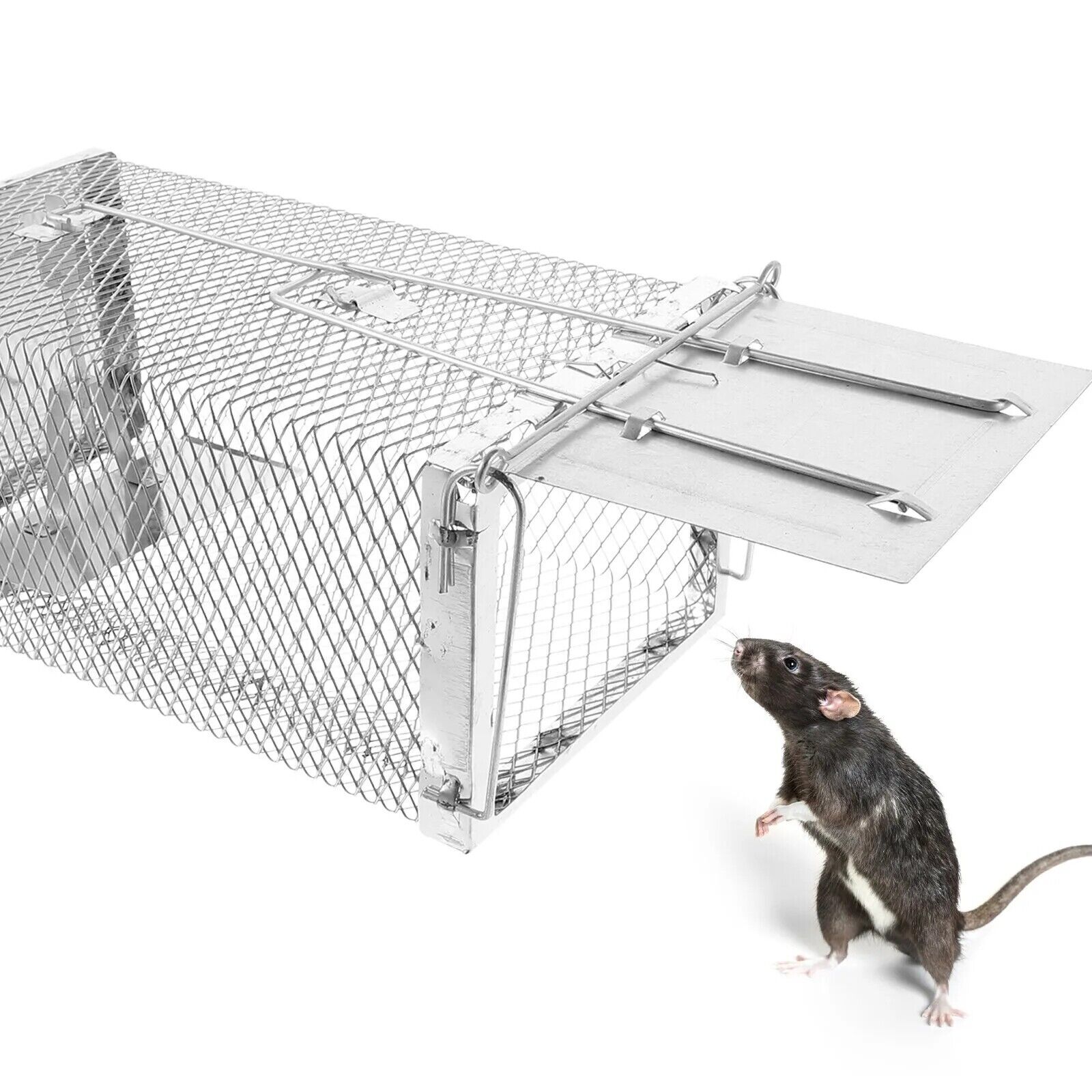 USA Mouse Trap Rat Trap Rodent Trap Live Catch Cages - Easy to Set Up and Reuse
