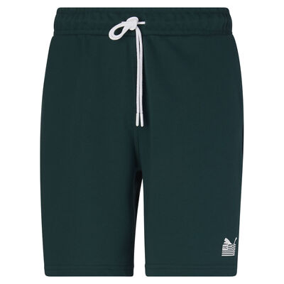 

Мужские спортивные шорты PUMA x TMC Everyday Hussle, Green - june bug, Basketball