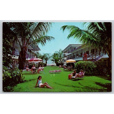 Postcard FL St Petersburg Tropic Terrace Apartment Motel Sun Bathing