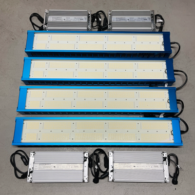 S Box Of 4 Lights Pcl-