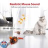 PETGEEK Gigwi Interactive Cat Toys for Indoor Cats, Moving Toy for Bored Indoor Adult Cats, Automatic Electronic Moving Mouse Cat Toys with Realistic Squeaky, Kitten Toys for Hunting Play (Orange)