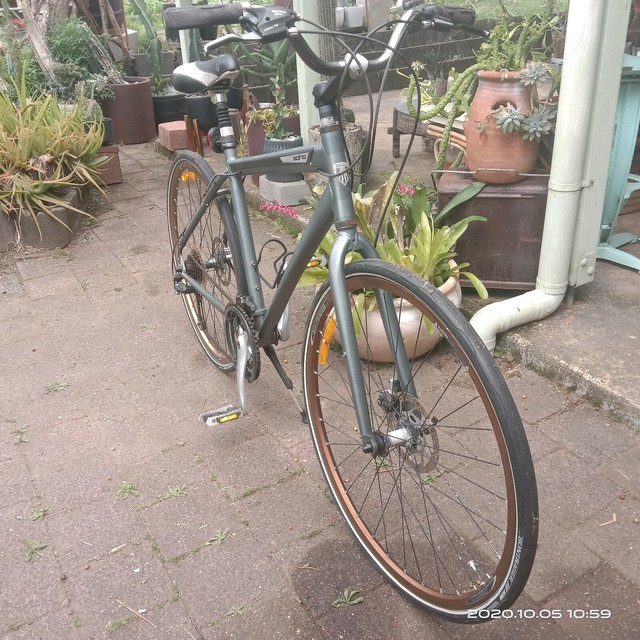 trek soho commuter