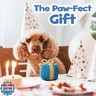 PUPROAR Birthday Gift Box Dog Toy – Cute Birthday Gift for Dogs, Plush Squeaky Present with Rope Bow, Fun Birthday Toy for Puppies
