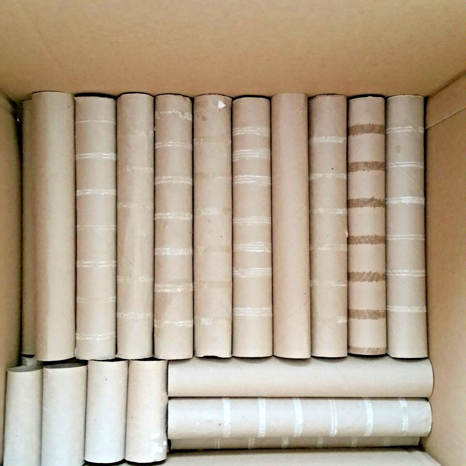 Empty Cardboard Rolls 200 Paper Towel Toilet Paper Tubes for Crafts