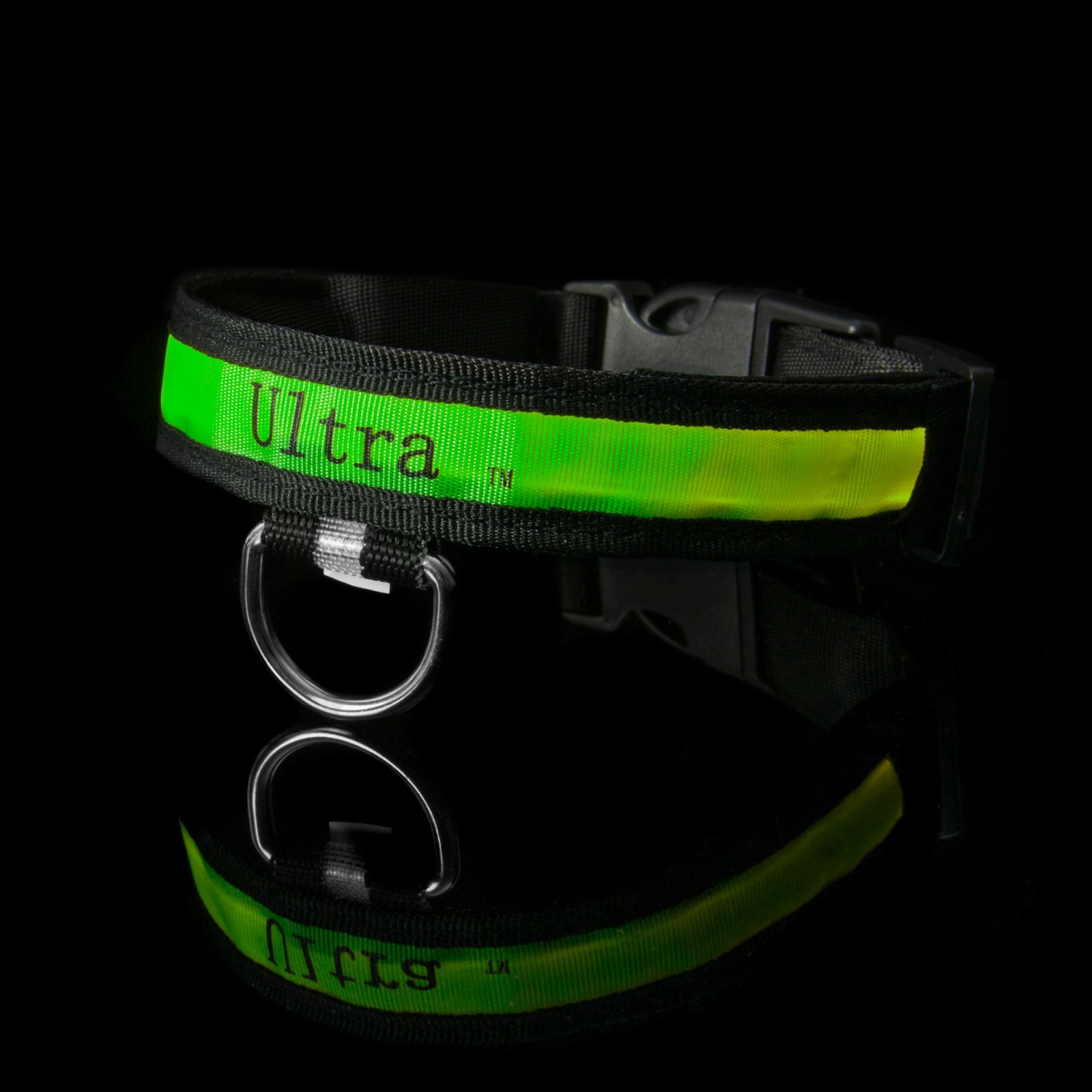 light green dog collar