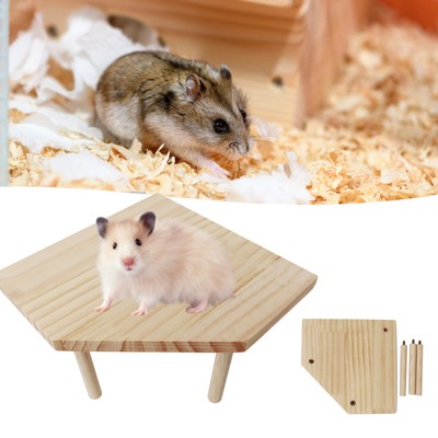 Ebay top hamster toys