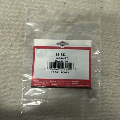 Briggs & Stratton Valve Cap 691843