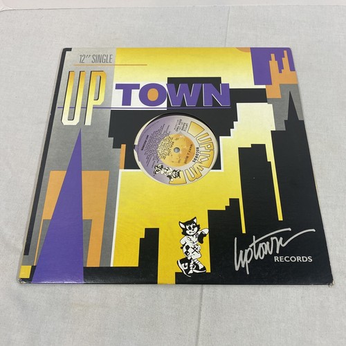 Mary J. Blige - Mary (ダブルLP) レコード Mary J. Blige - Mary (ダブルLP) レコード（MARY J. BLIGE