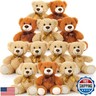 Tezituor Teddy Bear Stuffed Animal Bulk 12 Packs, 14in Small Bulk Teddy Bear Plush, Teddy Bears Centerpiece for Baby Shower, Stuffed Bear Gift for Kids, Christmas, Valentines, Light Brown/Dark Brown