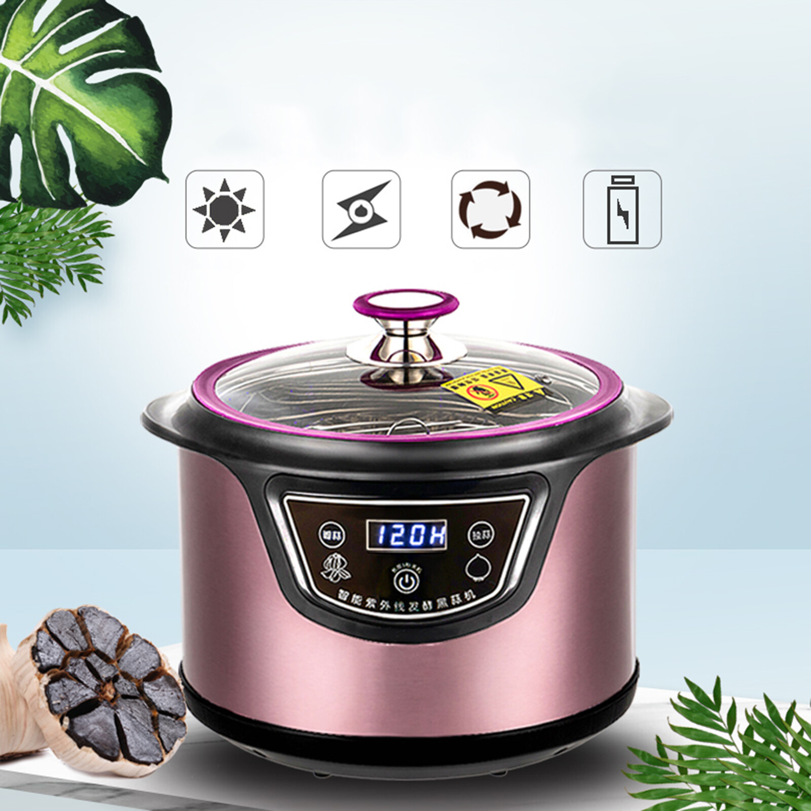 6L Intelligent Automatisch Schwarzer Knoblauch Fermenter Black Garlic Fermenter