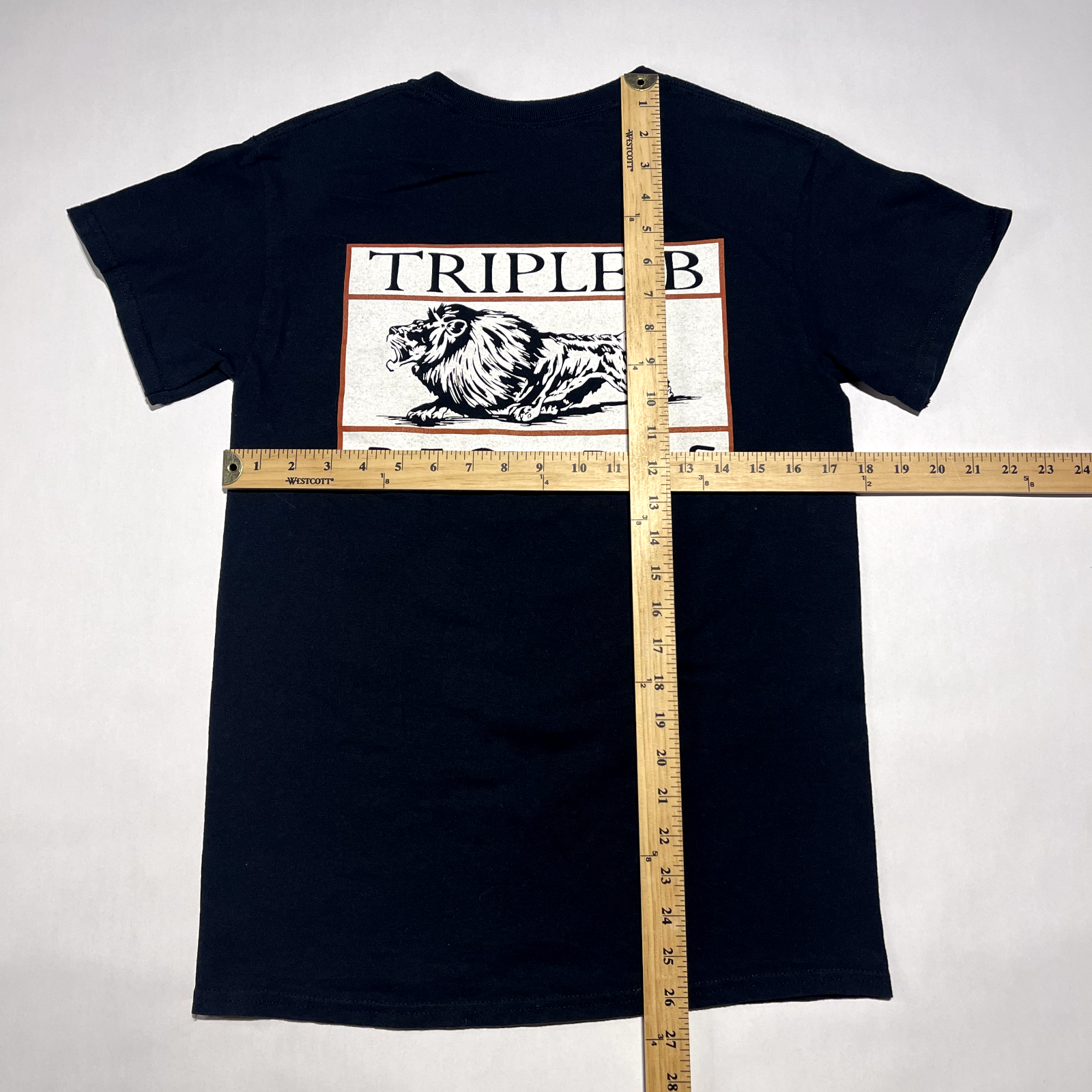 Antagonize 2018 Demo T-Shirt Small HxC SxE Straight Edge Triple B Records Bane