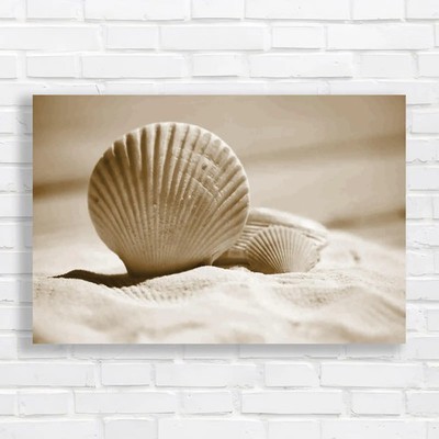 Large Beach Seashells Discover Coastal Treasures Sepia Canvas Print Large