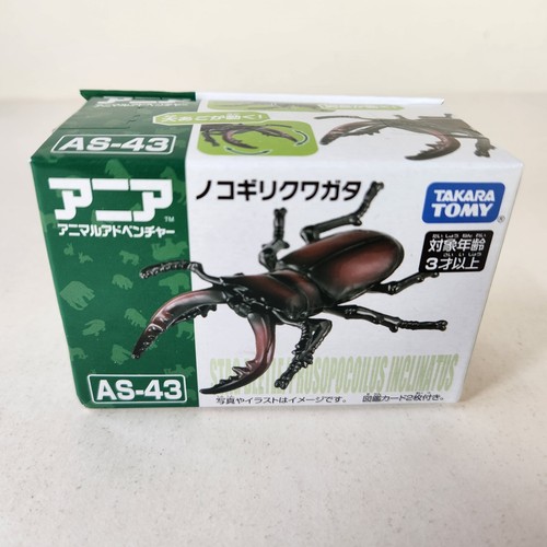 タエニア　TAENIA s-l1200.jpg