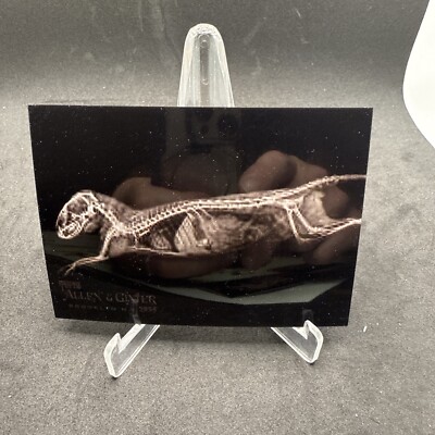 #XR-14 Dwarf Mongoose 2024 Allen & Ginter X-Ray'd Inset Oregon Zoo