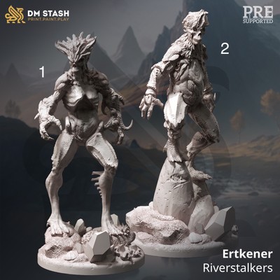 Hex Hunters of Brightstone by DM Stash 3D Printed DnD Resin Minis