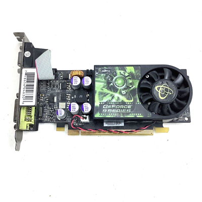 Xfx nvidia hotsell