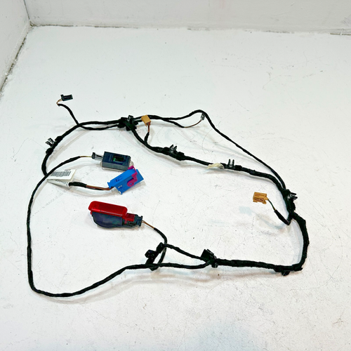2016-2018 Audi A6 Front Pasenger Side Door Panel Wire Wiring Harness OEM