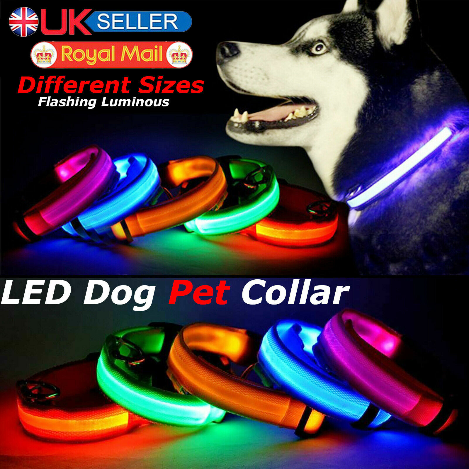collar light