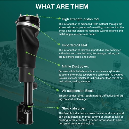 Front Left Air Suspension Strut For Land Rover Range Rover HSE L322 2002-2012