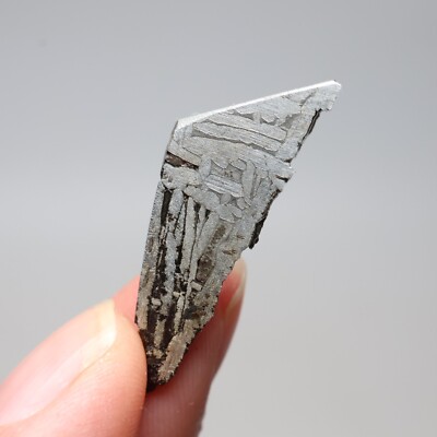 3g  Muonionalusta meteorite part slice C7288