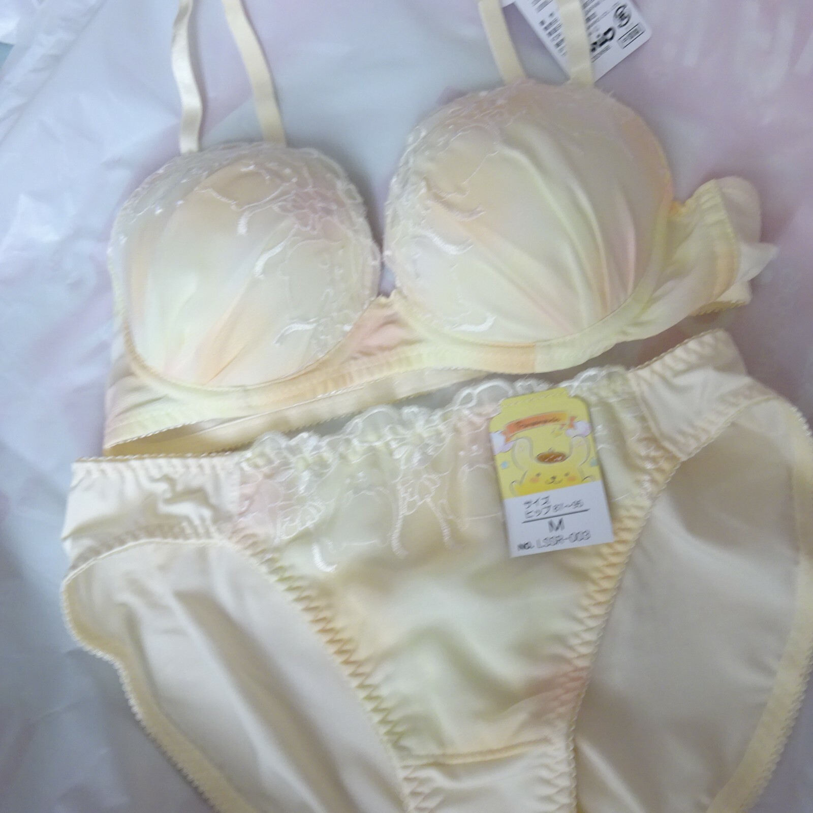 Lingerie Panty Pics