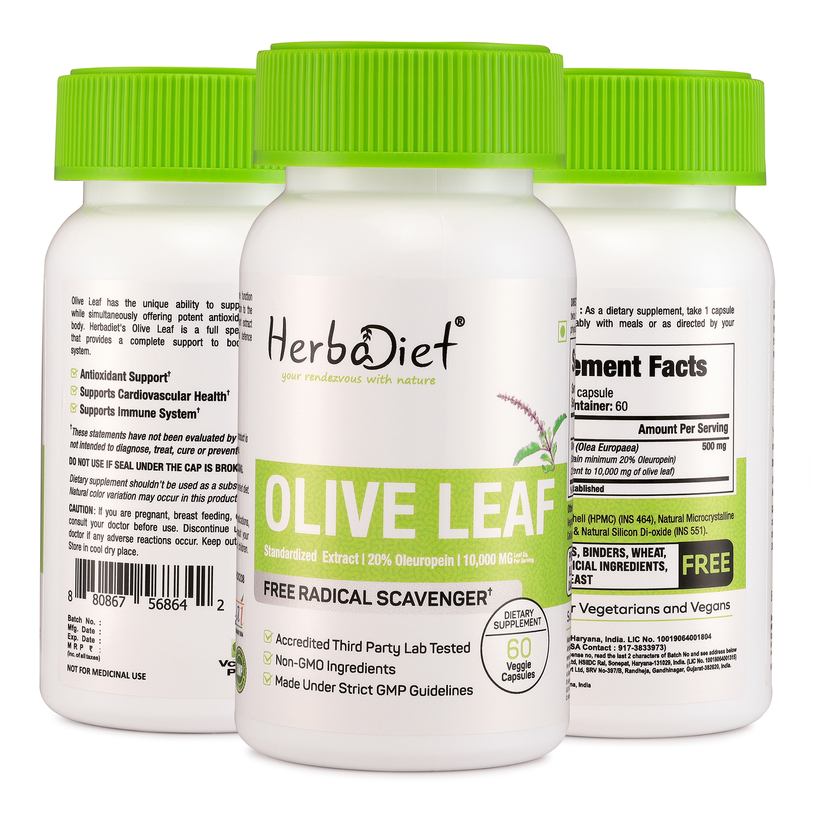 Picture 4