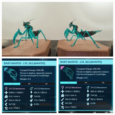 ARK ASCENDED PVE OFFICIAL PAIR BABY MANTIS TRON TOP STATUS  PC/XBOX/PS5