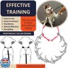 DEYACE Dog Training Collar with Quick-Release Buckle, Adjustable Stainless Steel Collar for Small Medium Large Dogs