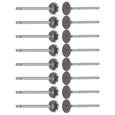 16 Einlassventil +Auslassventil Ventil for VW AUDI 1,4 1,6 16V Golf A3 Lupo Polo