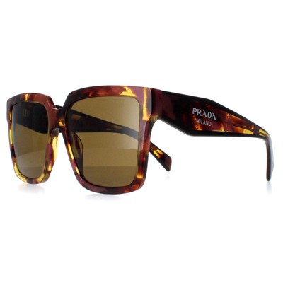 Pre-owned Prada Sunglasses Pr24zs 18n01t Tortoise Cognac Begonia Dark Brown
