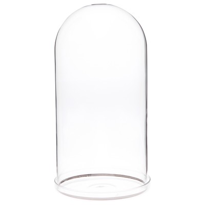 Plymor 5.5'' x 11'' Glass Display Dome Cloche with Silver Rim (Clear Glass Base)