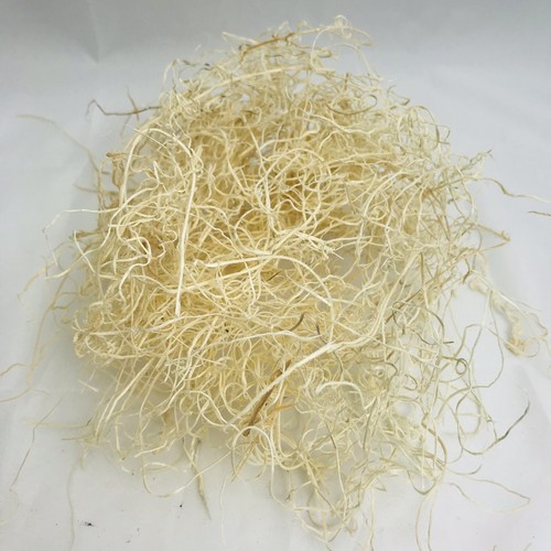 Excelsior Moss (Aspen), Natural, Bulk 7oz Bag Finch Nesting Material