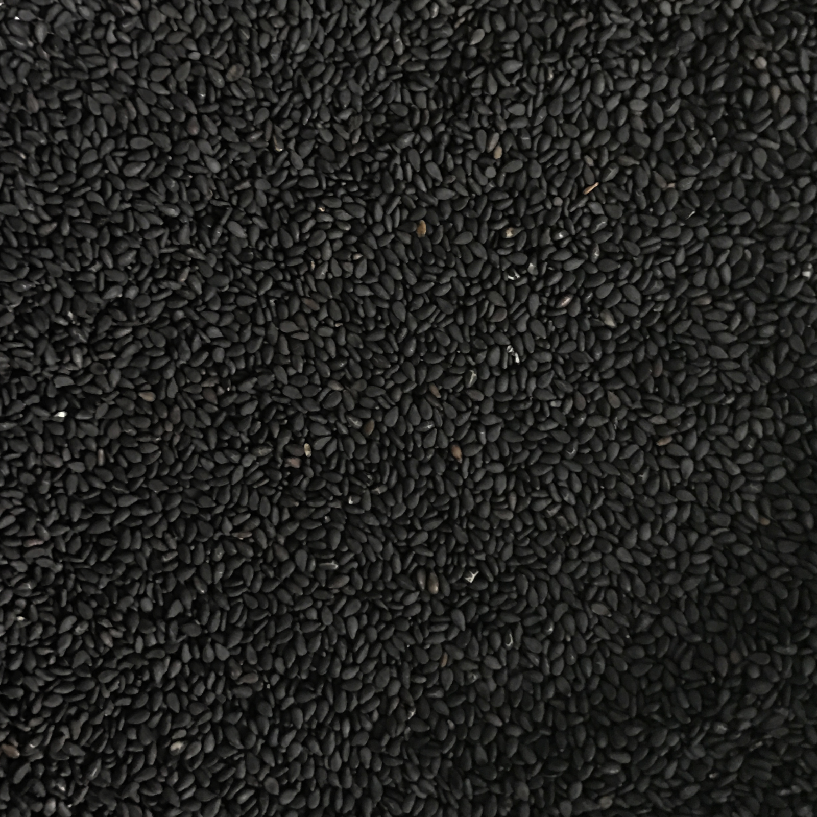 Black Sesame Seeds Unhulled Whole Raw 100% Pure Non-GMO, Kosher, Vegan Bulk