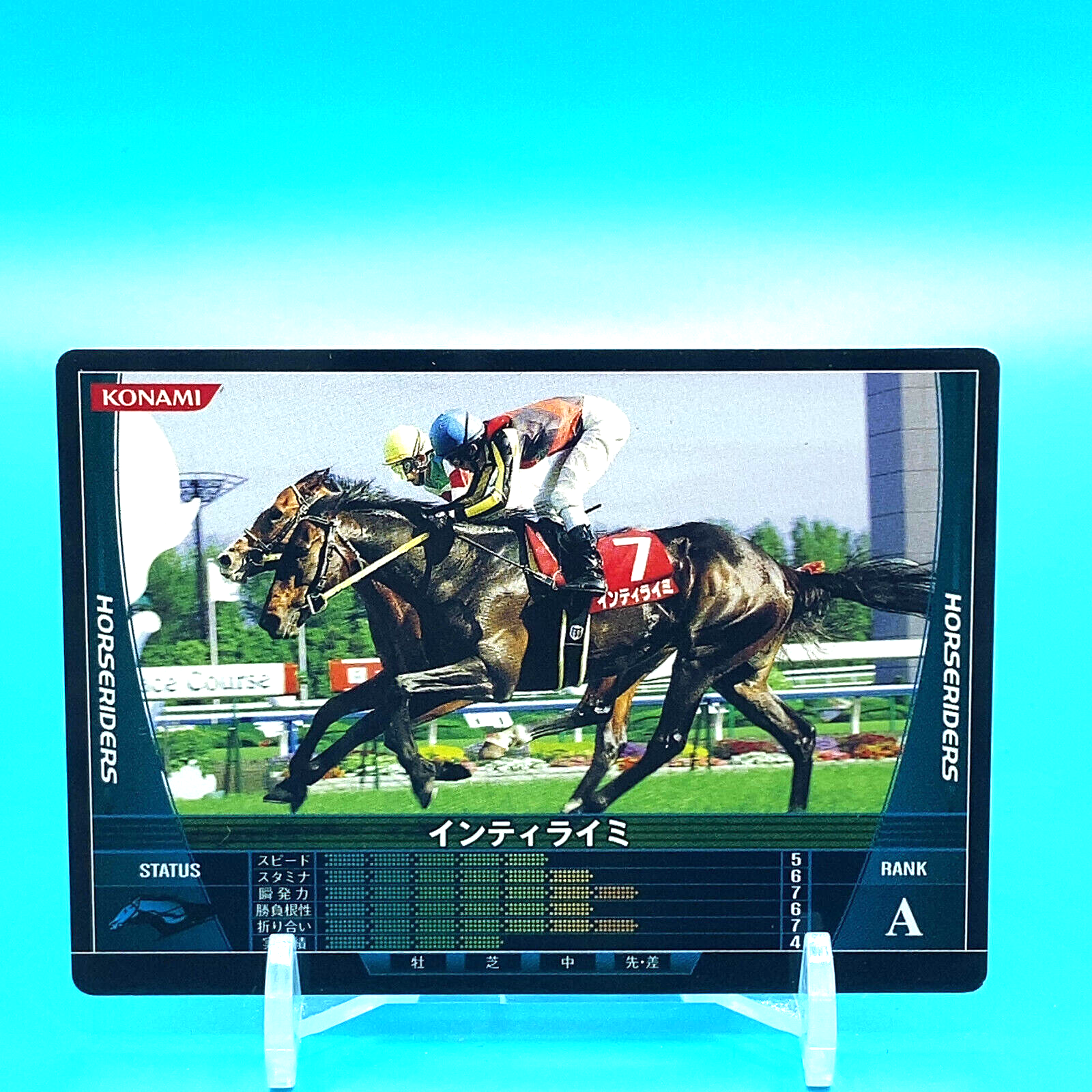 インドミティーラ画Ｂ インドミティーラ画B マドゥバニ（ミティラー）ペインティング