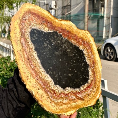 3.6LB Large Natural Petrified Wood Crystal Fossil Slice Shape Specimen Healing