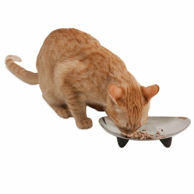 JACKSON GALAXY Eclipse Cat Food Bowl