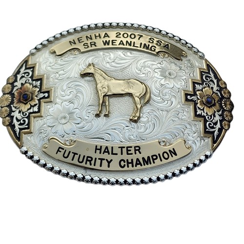▽MONTANA SILVERSMITHS BUCKLE Montana Silversmith Wings of Strength Belt Buckle