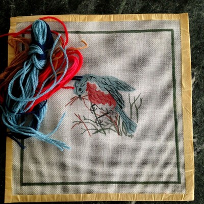 Bluebird  Building Nest Hand Painted Needlepoint Canvas Some Wool Included 11x11