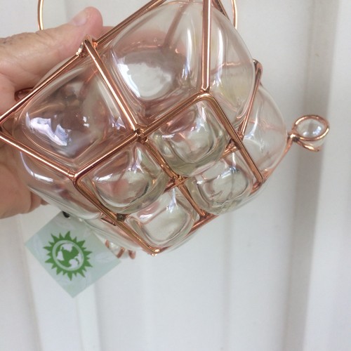 Clear  Blown Glass And Copper Vase Rooter Hanging  Vase Plant Rooter  7” X 6”