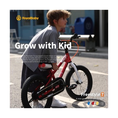 Royalbaby Freestyle Kids Bike 2 Hand Brakes 12 14 16 18 20 Inch Children's Bi...