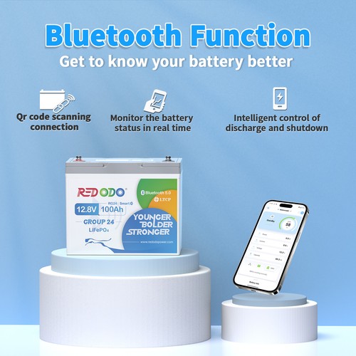 Redodo 12V 100Ah LiFePO4 Lithium Battery with Bluetooth & Low Temp Cut-off