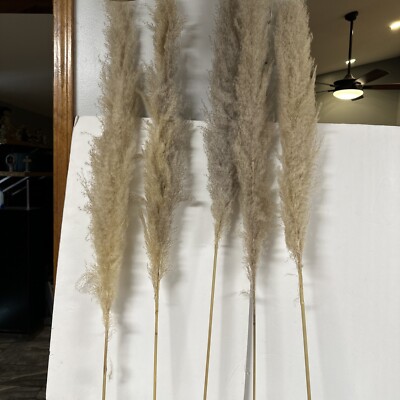 5 Natural Beige Pampas Grass Picks Sprays Twigs by Lauren McBride 43-1/2  RARE