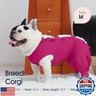 IECOii Pet Surgery Recovery Suit,Breathable Dog Bodysuit E-Collar and Cone Alternative Surgical Suit After Spayed/Neutered Wear,Recovery Suit for Dogs Male Female Sleeve to Prevent Licking,XL-Rosered