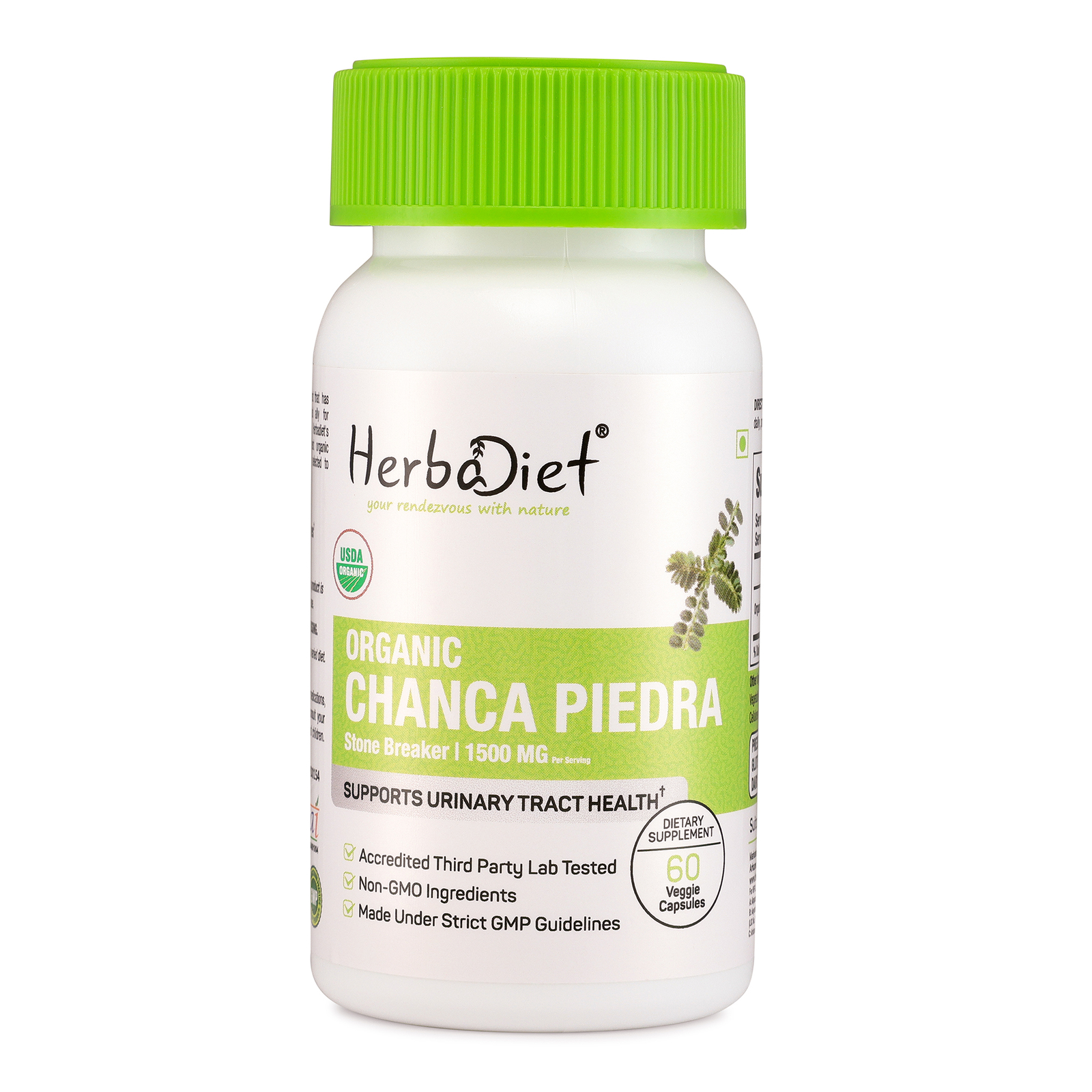 Organic Chanca Piedra 1500mg Vegan 300 Capsules Kidney Stone Gallstones Breaker - Picture 1 of 4