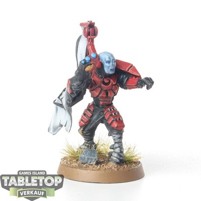 Wargame Exclusive - Greater Good Veteran Roiden - Fire Warriors Shas'ui - bemalt