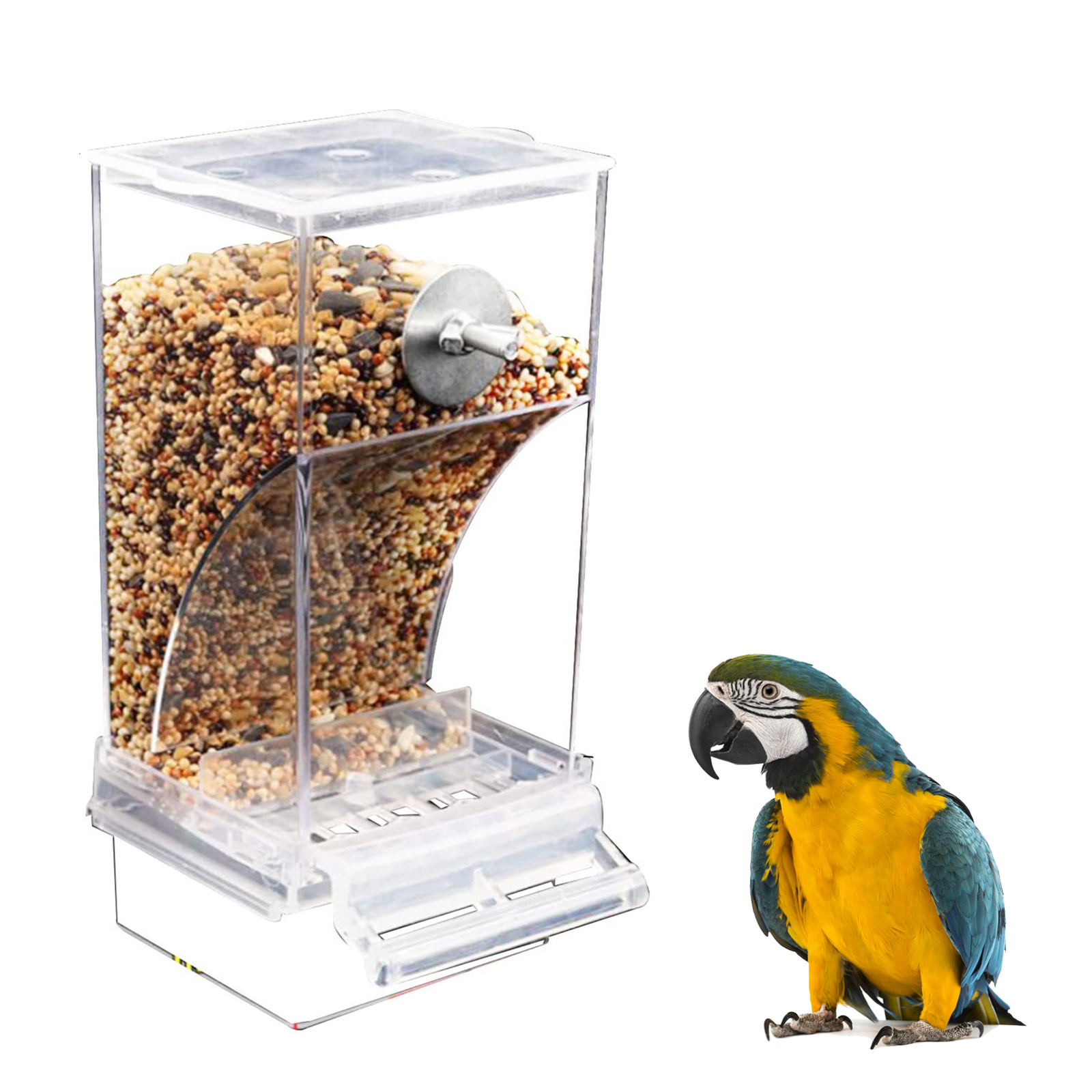 S Automatic Parrot Feeder Drinker Acrylic Seed Food Containe