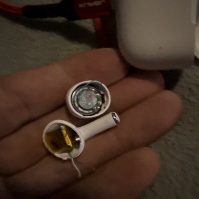 Photos de l'objet d'un acheteur vérifié