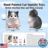 Big Hand Painted Cat Squishy Toys，Large Cute Ultra Soft Kitty Squeeze Fidget Toys for Stress Relief ,Kawaii Squishies Sticky Animal Toys for Adults Kids,Decompression Sensory Balls Toys for Autism